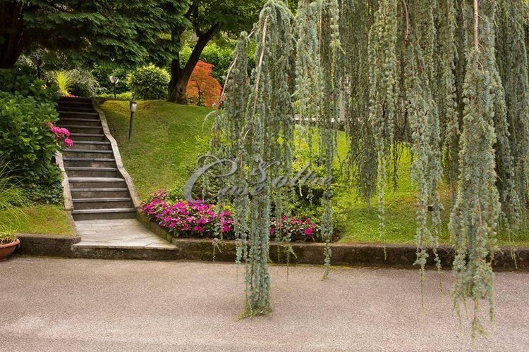 Locale Commerciale Como