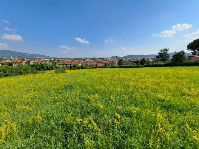 Terreno edificabile San Paolo d'Argon
