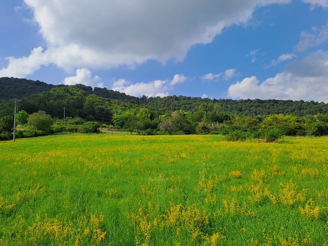 Terreno edificabile San Paolo d'Argon