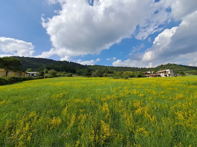 Terreno edificabile San Paolo d'Argon