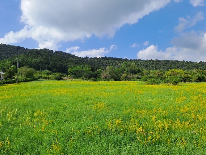 Terreno edificabile San Paolo d'Argon