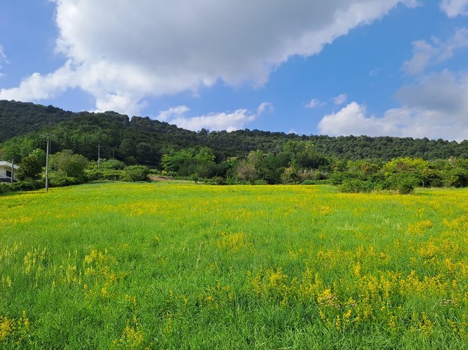 Terreno edificabile Trescore Balneario