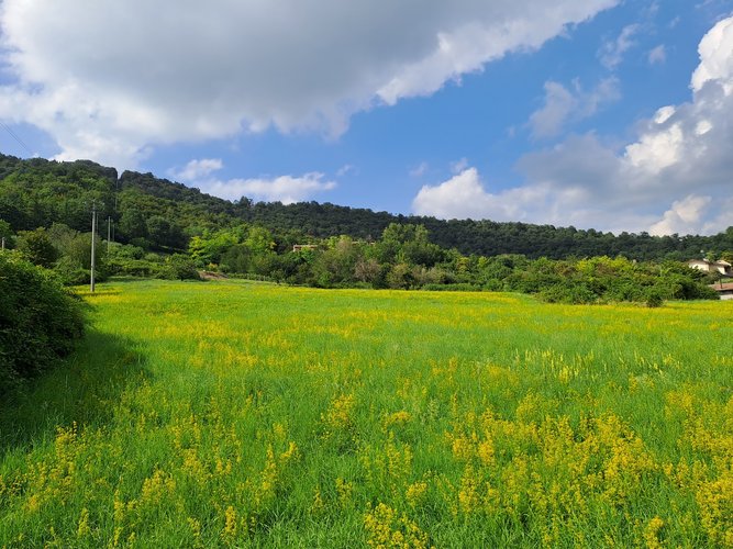 Terreno edificabile Trescore Balneario