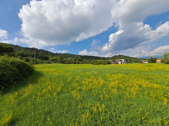 Terreno edificabile San Paolo d'Argon