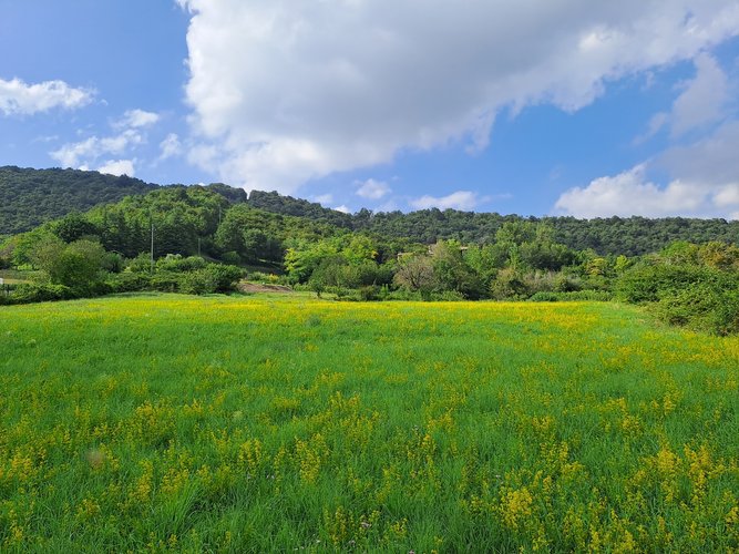 Terreno edificabile San Paolo d'Argon