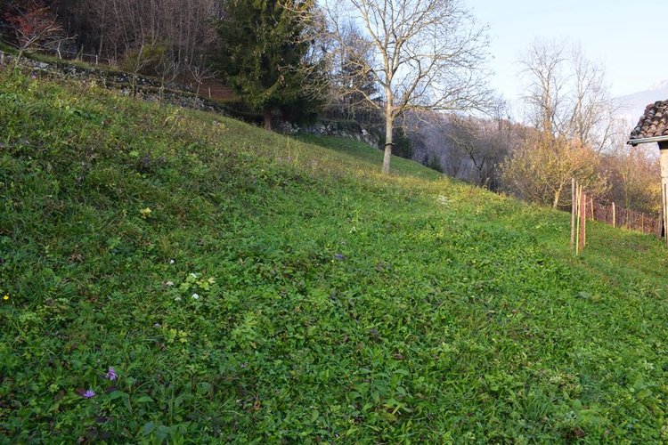 ValSerina per amanti tranquillità, introvabile rustico con terreno Algua