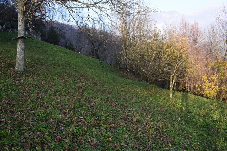 ValSerina per amanti tranquillità, introvabile rustico con terreno Algua