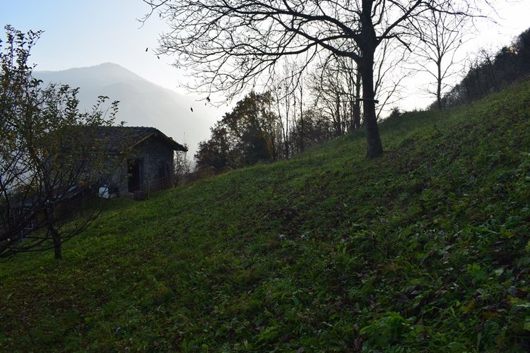ValSerina per amanti tranquillità, introvabile rustico con terreno Algua