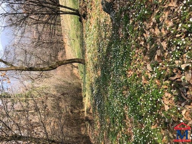 Terreno agricolo Ponteranica