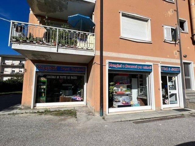 Locale Commerciale