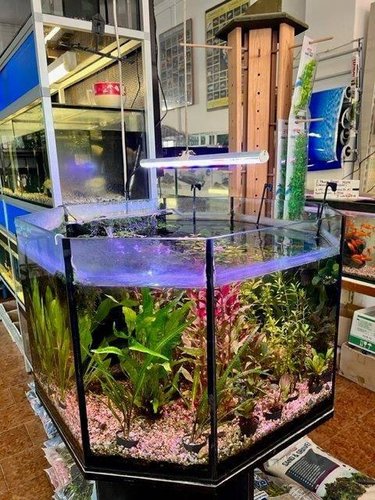 Locale Commerciale Merone