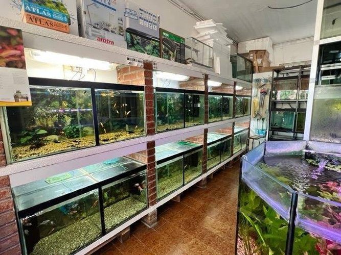 Locale Commerciale Merone