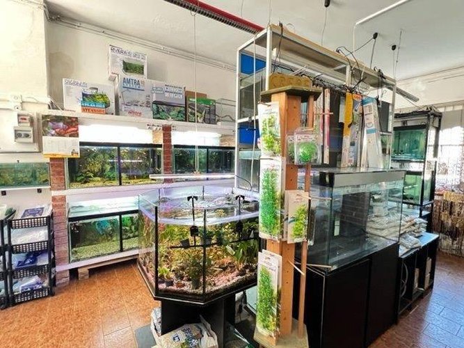 Locale Commerciale Merone