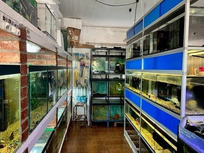 Locale Commerciale Merone