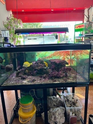 Locale Commerciale Merone