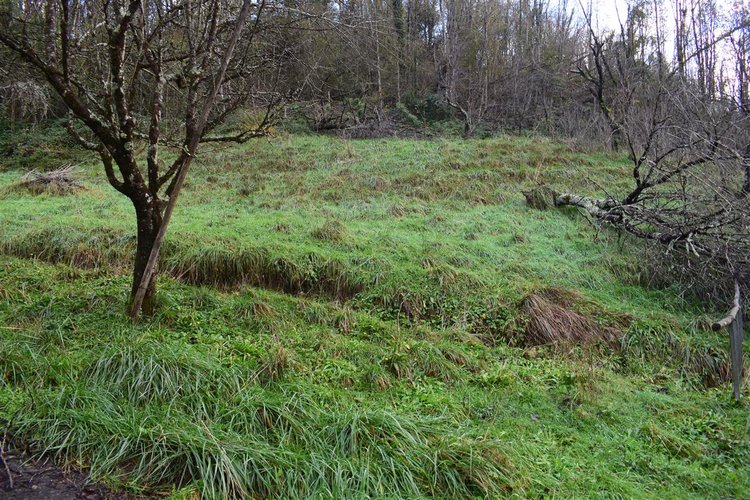 Costa Serina introvabile cascina con terreno raggiungibile da strada Costa Serina