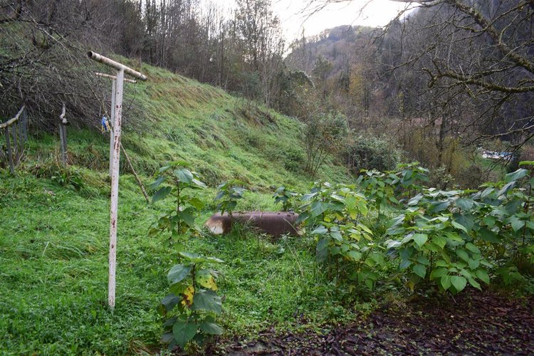 Costa Serina introvabile cascina con terreno raggiungibile da strada Costa Serina