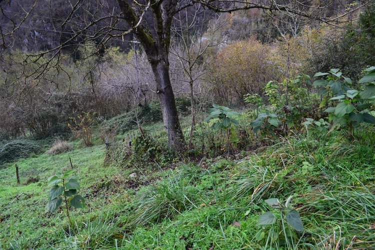 Costa Serina introvabile cascina con terreno raggiungibile da strada Costa Serina