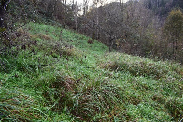 Costa Serina introvabile cascina con terreno raggiungibile da strada Costa Serina