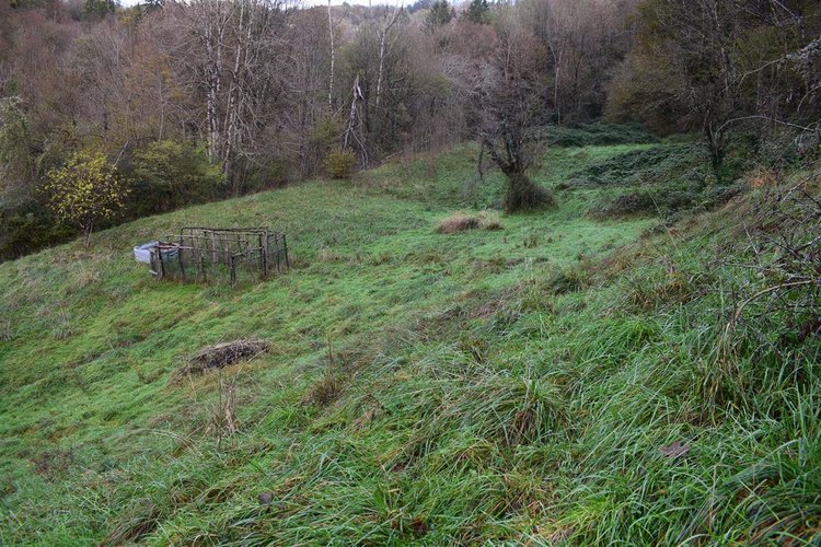 Costa Serina introvabile cascina con terreno raggiungibile da strada Costa Serina