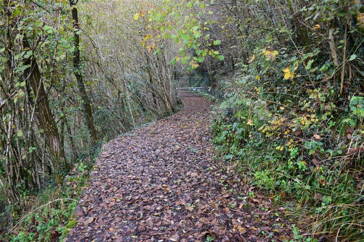Costa Serina introvabile cascina con terreno raggiungibile da strada Costa Serina