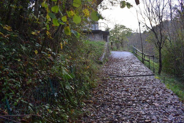 Costa Serina introvabile cascina con terreno raggiungibile da strada Costa Serina