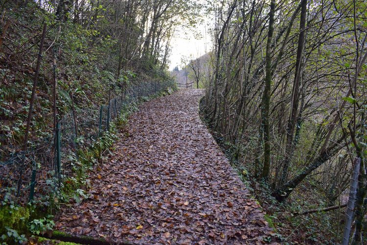 Costa Serina introvabile cascina con terreno raggiungibile da strada Costa Serina