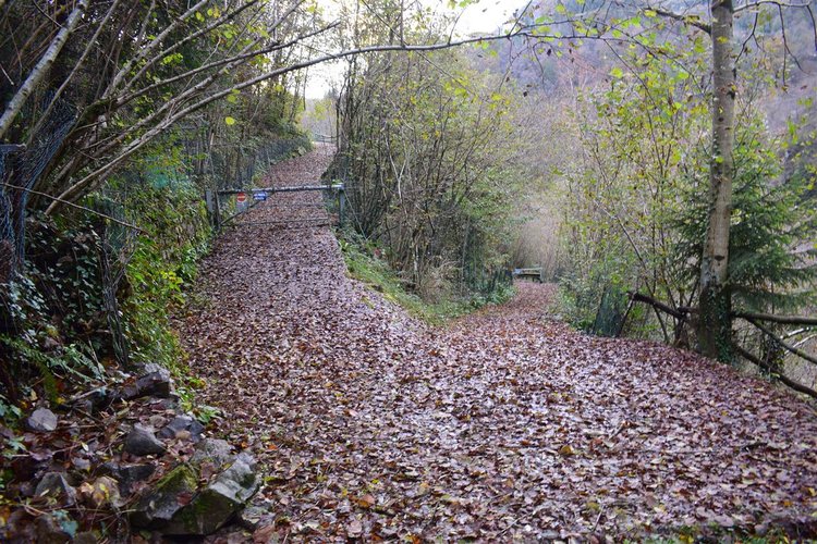 Costa Serina introvabile cascina con terreno raggiungibile da strada Costa Serina