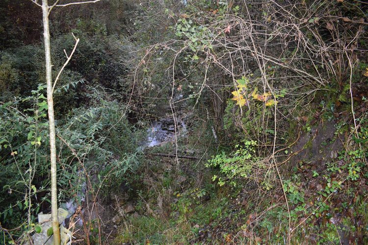 Costa Serina introvabile cascina con terreno raggiungibile da strada Costa Serina