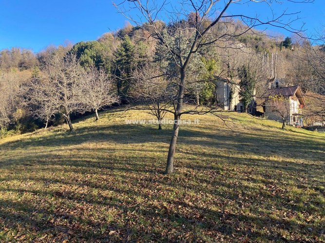 IMMERSO NEL VERDE! Sant'Omobono Terme