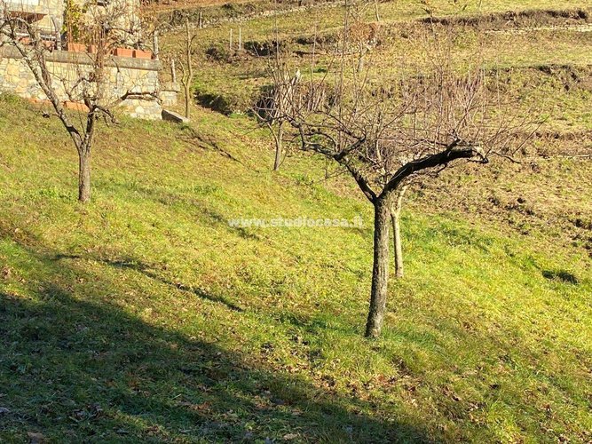 IMMERSO NEL VERDE! Sant'Omobono Terme