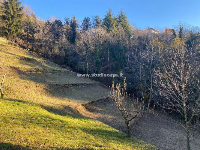 IMMERSO NEL VERDE! Sant'Omobono Terme
