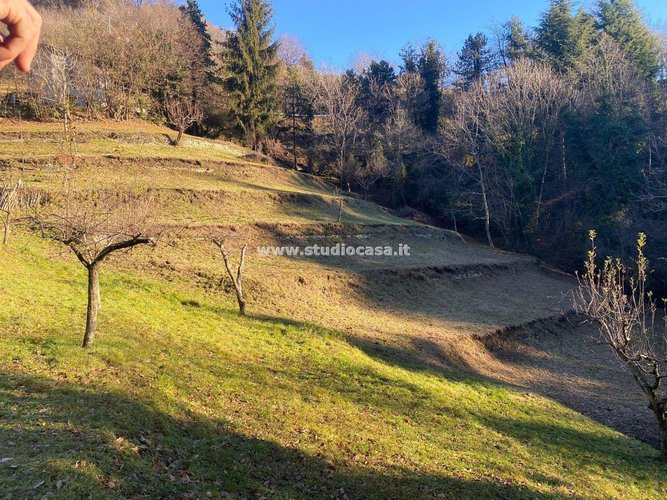 IMMERSO NEL VERDE! Sant'Omobono Terme