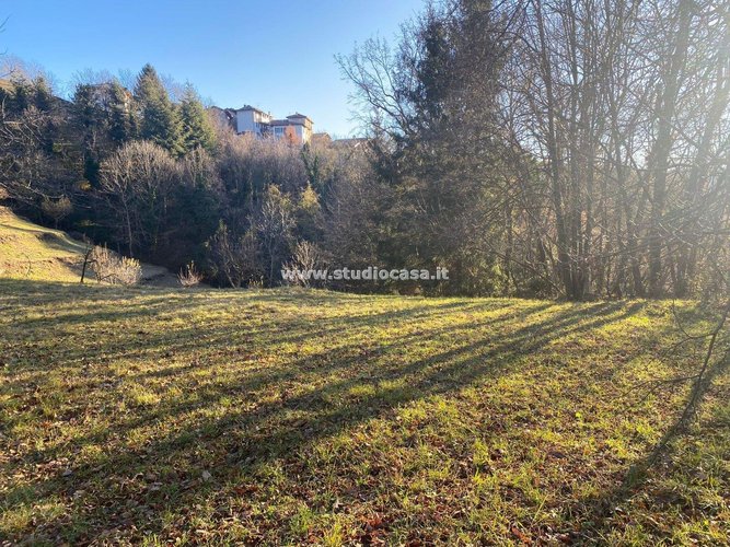 IMMERSO NEL VERDE! Sant'Omobono Terme