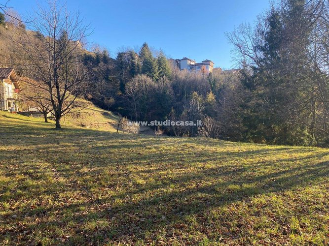 IMMERSO NEL VERDE! Sant'Omobono Terme