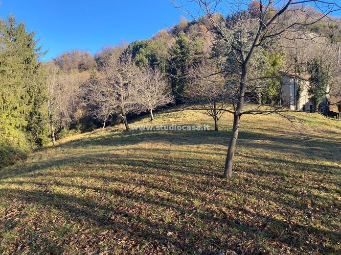 IMMERSO NEL VERDE! Sant'Omobono Terme