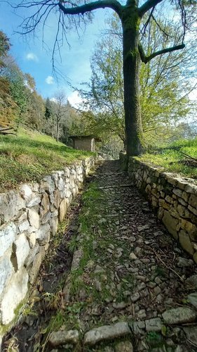 Costa Serina affarone caratteristica baita montana con terreno Costa Serina