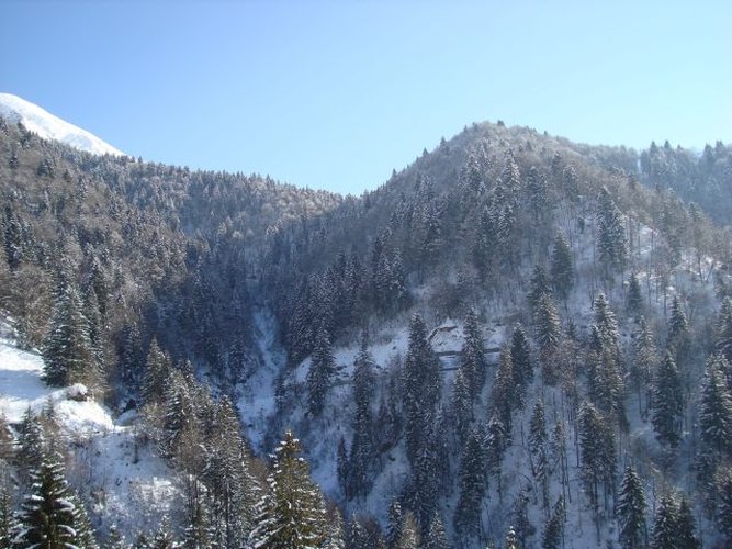 Oltre il Colle quota mt. 1200 vista Monte Arera affarone alloggio arredato, balconato con box Oltre il Colle