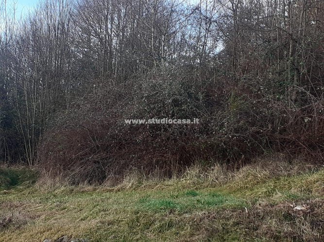 PRONTO DA COSTRUIRE! Bracca