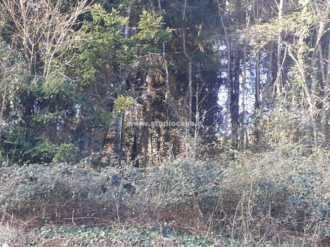 PRONTO DA COSTRUIRE! Bracca