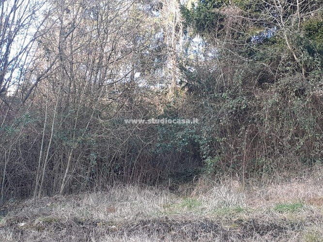 PRONTO DA COSTRUIRE! Bracca