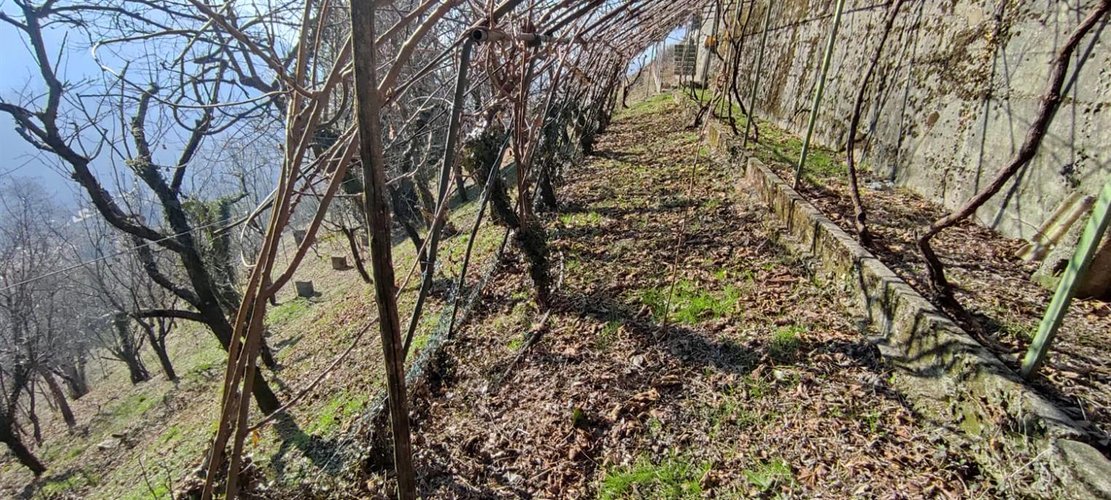 Corna Imagna trilocale con camino e cantina + box auto + terreno a frutteto Corna Imagna