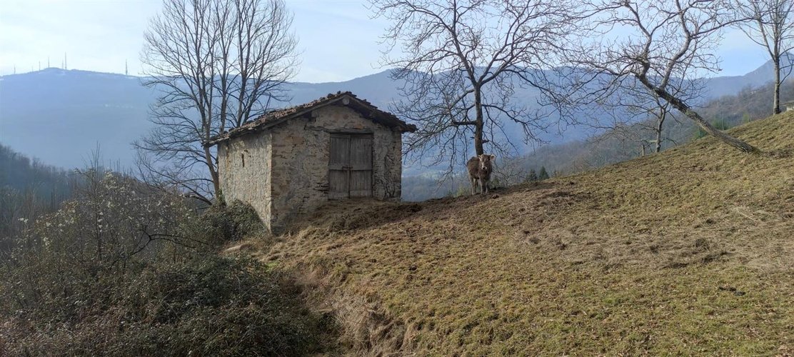 Corna Imagna vendesi rustico singolo + terreno Corna Imagna