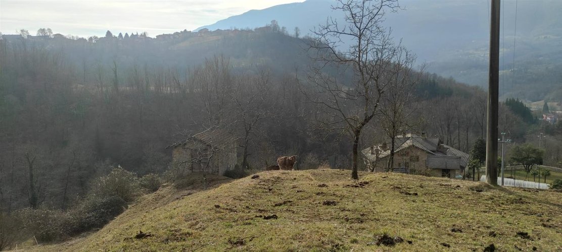 Corna Imagna vendesi rustico singolo + terreno