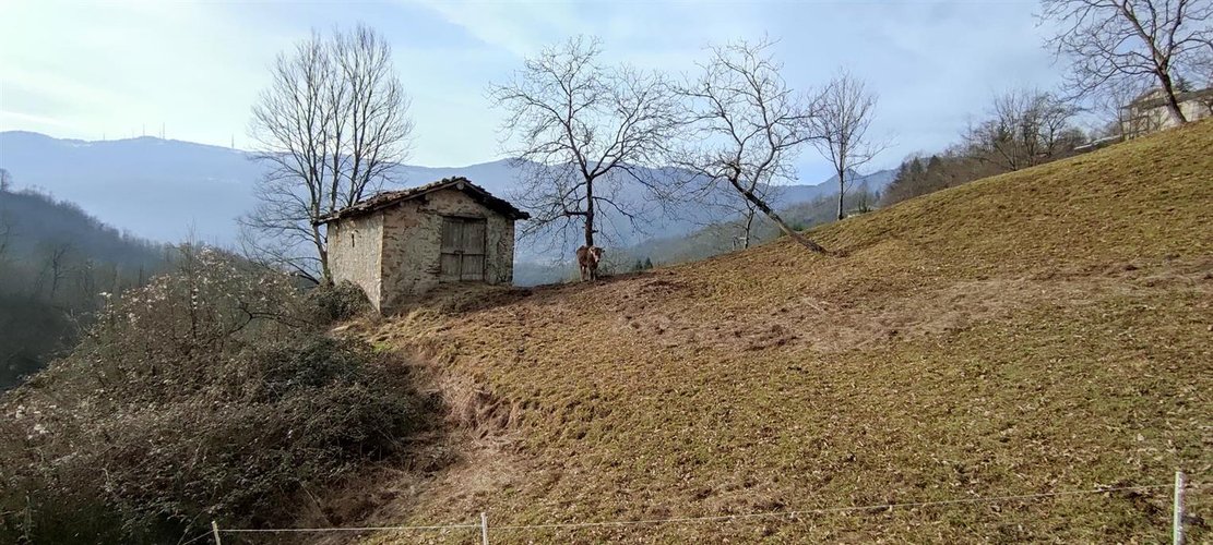 Corna Imagna vendesi rustico singolo + terreno Corna Imagna