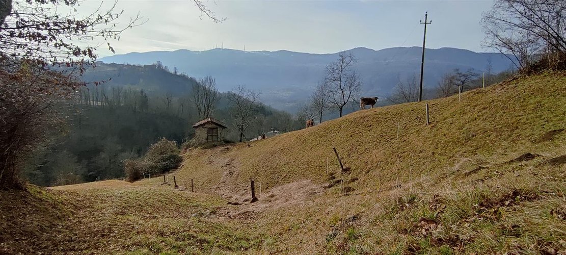 Corna Imagna vendesi rustico singolo + terreno Corna Imagna