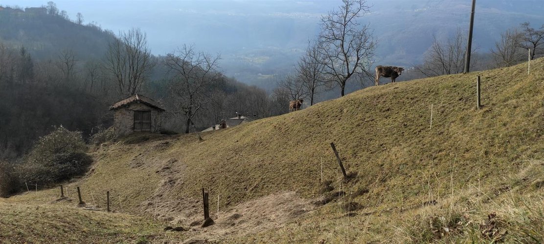 Corna Imagna vendesi rustico singolo + terreno Corna Imagna