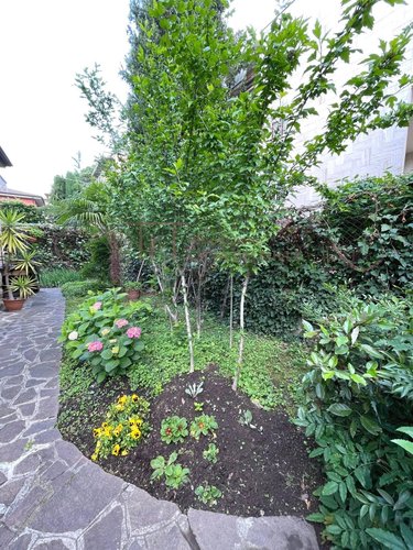 Villa singola Bergamo