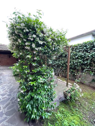 Villa singola Bergamo