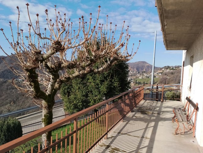 CASA INDIPENDENTE! Aviatico